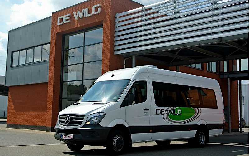 De Wilg