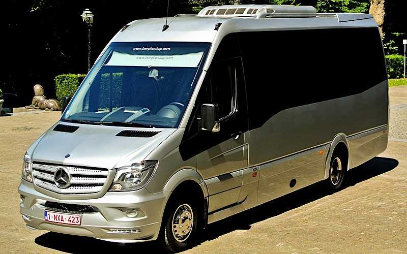 Bergkoning - Sprinter Grand Tourer