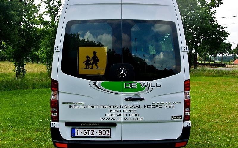 De Wilg