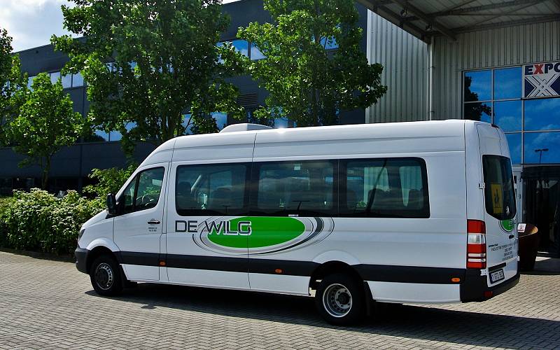 De Wilg